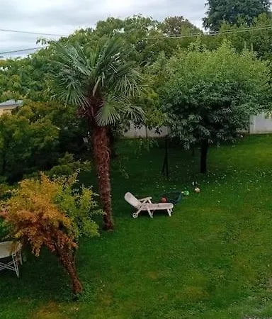 Grazioso Con Vista Giardino E Parcheggio Апартаменты Биелла