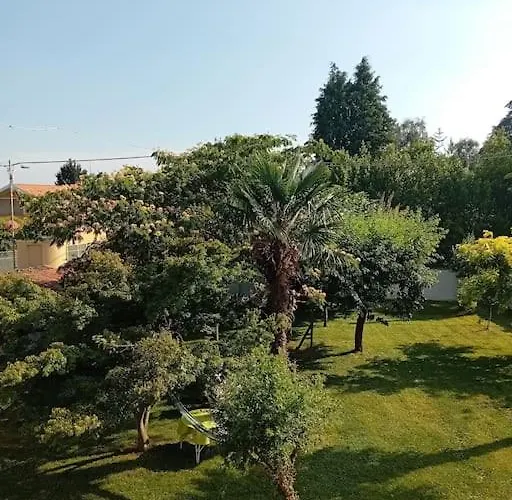 Grazioso Con Vista Giardino E Parcheggio * Biella