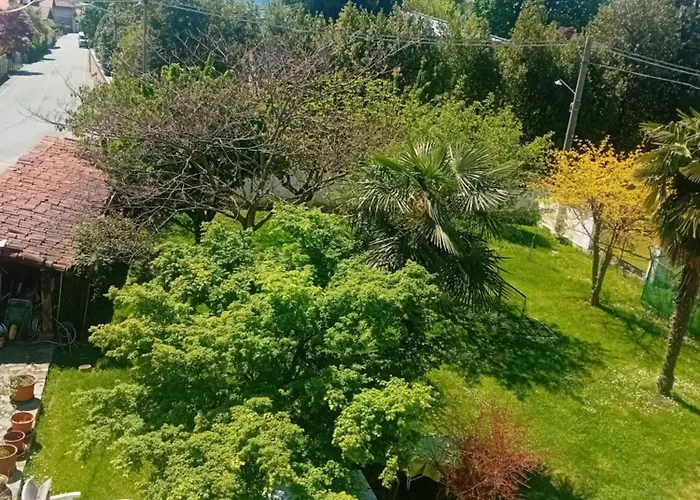 Grazioso Con Vista Giardino E Parcheggio * Biella
